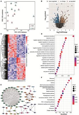 Whole Transcriptome Sequencing of Peripheral Blood Shows That Immunity/GnRH/PI3K-Akt Pathways Are Associated With Opioid Use Disorder